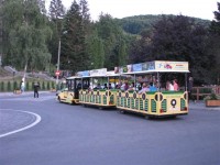 IMG_6048