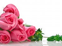 Romantic_Rose_Bouquet_freecomputerdesktopwallpaper_2560