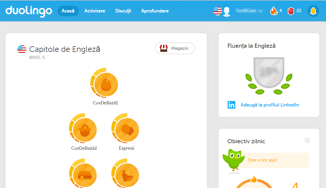 duolingo2